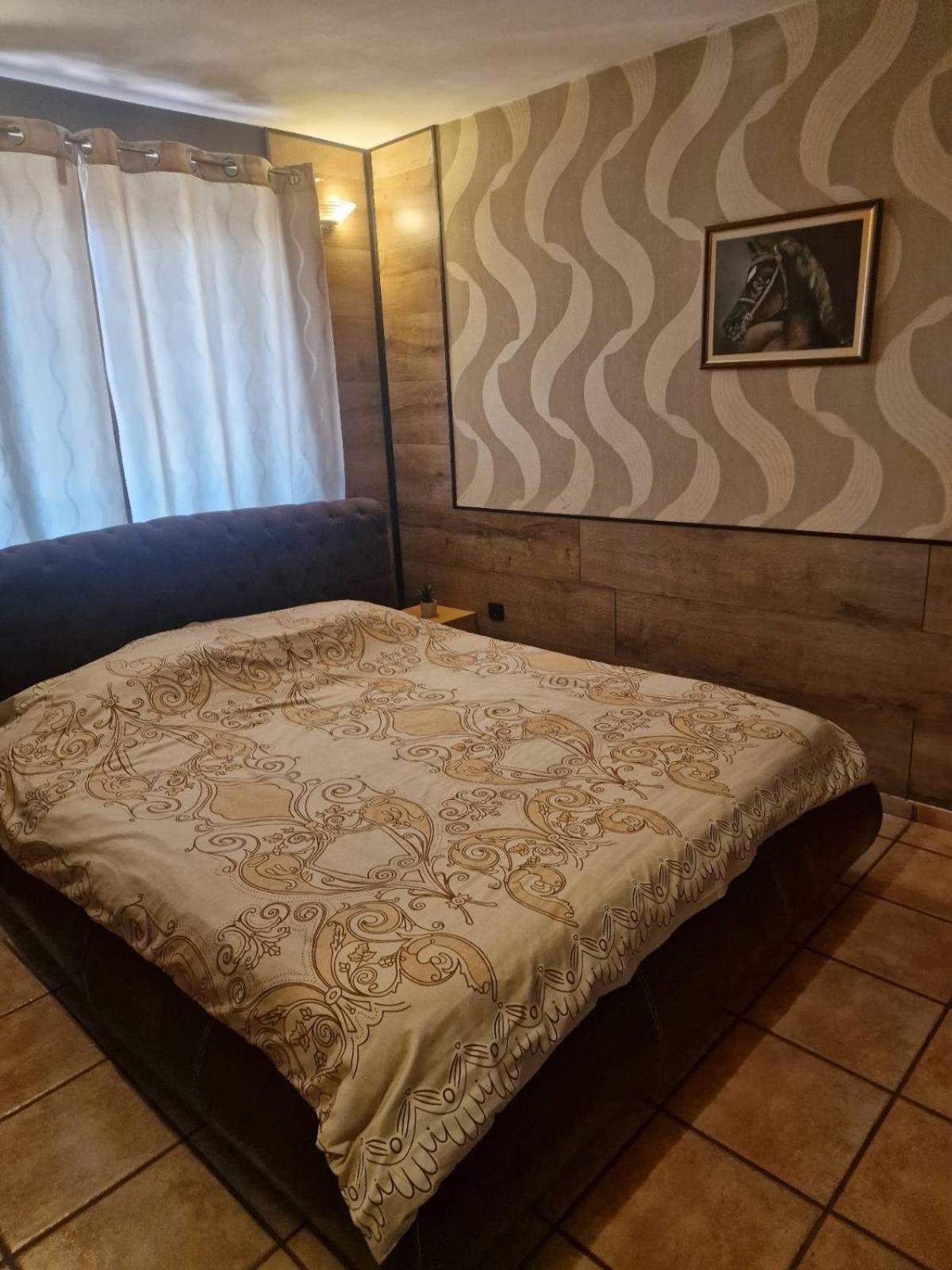 Guest House Maja Novi Sad Exterior photo